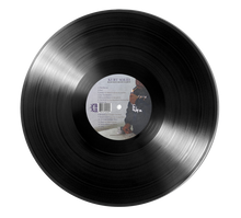 Load image into Gallery viewer, "The Process" 12" Vinyl by Kurt Solid &amp; Bronze Nazareth  **Limited Press**